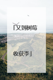 又到树莓收获季