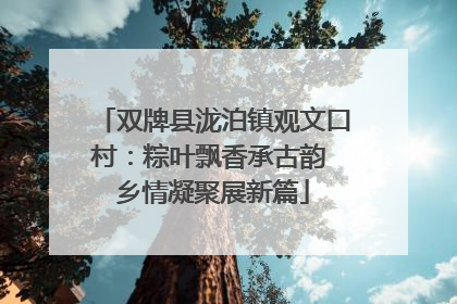 双牌县泷泊镇观文口村：粽叶飘香承古韵 乡情凝聚展新篇
