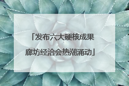 发布六大硬核成果 廊坊经洽会热潮涌动