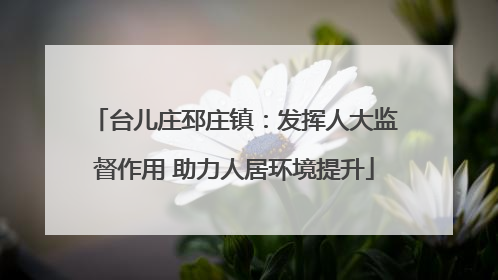 台儿庄邳庄镇：发挥人大监督作用 助力人居环境提升