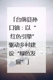 台前县孙口镇：以“红色引擎”驱动乡村建设“绿色发展”