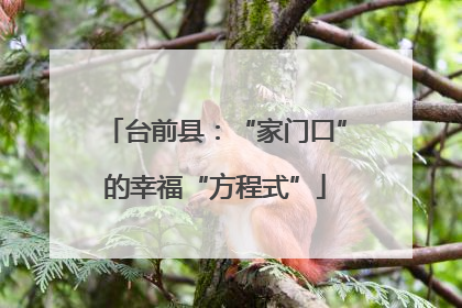 台前县：“家门口”的幸福“方程式”