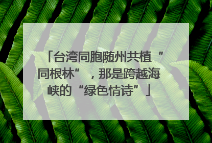 台湾同胞随州共植“同根林”，那是跨越海峡的“绿色情诗”