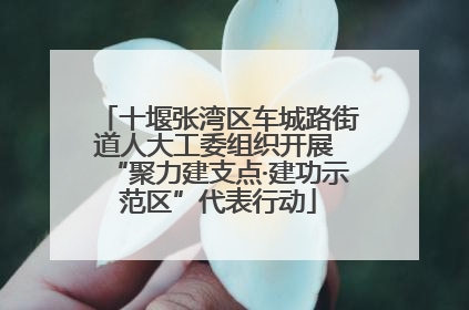十堰张湾区车城路街道人大工委组织开展 “聚力建支点·建功示范区”代表行动
