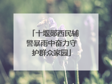 十堰郧西民辅警暴雨中奋力守护群众家园