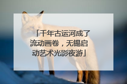 千年古运河成了流动画卷，无锡启动艺术光影夜游