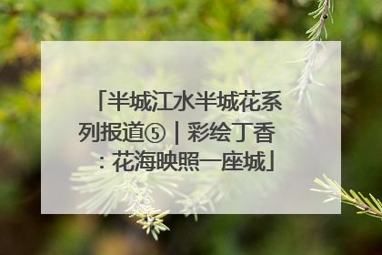 半城江水半城花系列报道⑤｜彩绘丁香：花海映照一座城