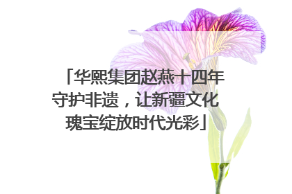 华熙集团赵燕十四年守护非遗，让新疆文化瑰宝绽放时代光彩
