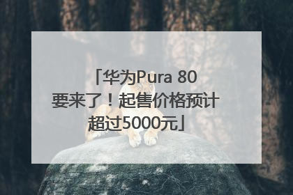 华为Pura 80要来了！起售价格预计超过5000元