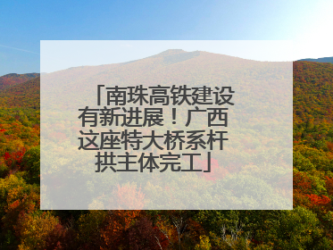 南珠高铁建设有新进展！广西这座特大桥系杆拱主体完工