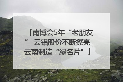 南博会5年“老朋友” 云铝股份不断擦亮云南制造“绿名片”