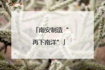 南安制造“再下南洋”