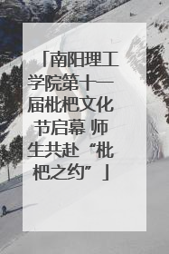 南阳理工学院第十一届枇杷文化节启幕 师生共赴“枇杷之约”