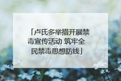 卢氏多举措开展禁毒宣传活动 筑牢全民禁毒思想防线