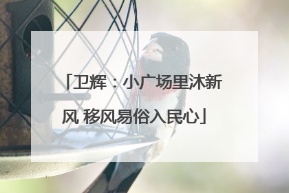卫辉：小广场里沐新风 移风易俗入民心