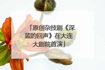 原创杂技剧《深蓝的回声》在大连大剧院首演