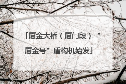 厦金大桥（厦门段）“厦金号”盾构机始发