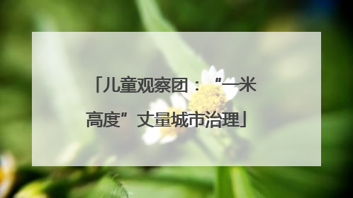儿童观察团：“一米高度”丈量城市治理
