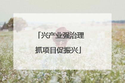 兴产业强治理 抓项目促振兴