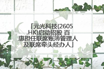 元光科技(2605.HK)启动招股 百惠担任联席账簿管理人及联席牵头经办人