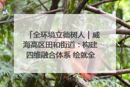 全环境立德树人｜威海高区田和街道：构建四维融合体系 绘就全环境立德树人新画卷