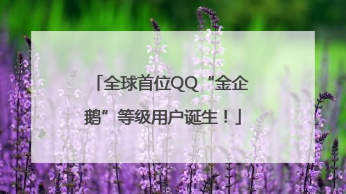 全球首位QQ“金企鹅”等级用户诞生！