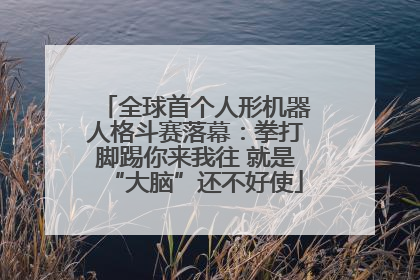 全球首个人形机器人格斗赛落幕：拳打脚踢你来我往 就是“大脑”还不好使