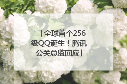 全球首个256级QQ诞生！腾讯公关总监回应