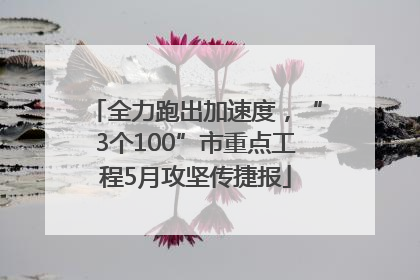 全力跑出加速度，“3个100”市重点工程5月攻坚传捷报