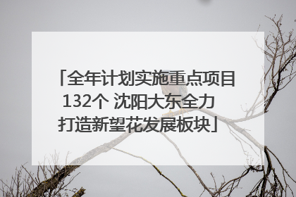 全年计划实施重点项目132个 沈阳大东全力打造新望花发展板块
