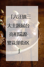 六汪镇三大主题展台亮相瑞源·繁花里街区