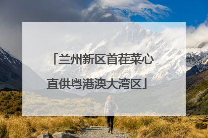 兰州新区首茬菜心直供粤港澳大湾区