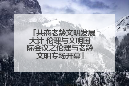 共商老龄文明发展大计 伦理与文明国际会议之伦理与老龄文明专场开幕
