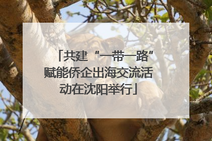 共建“一带一路”赋能侨企出海交流活动在沈阳举行