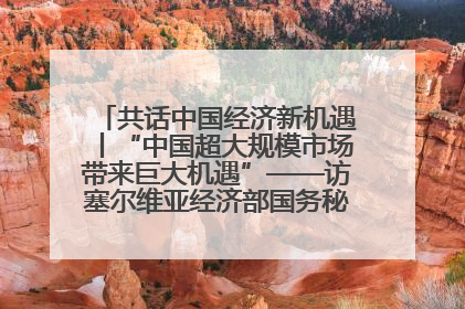 共话中国经济新机遇丨“中国超大规模市场带来巨大机遇”——访塞尔维亚经济部国务秘书尼科利奇