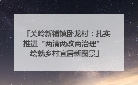 关岭新铺镇卧龙村：扎实推进“两清两改两治理” 绘就乡村宜居新图景