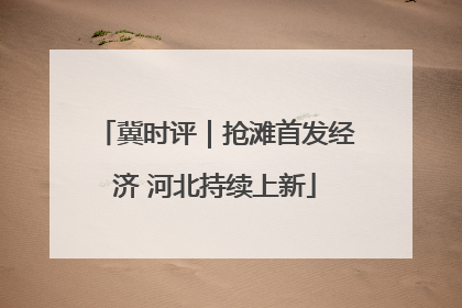 冀时评｜抢滩首发经济 河北持续上新