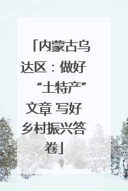 内蒙古乌达区：做好“土特产”文章 写好乡村振兴答卷