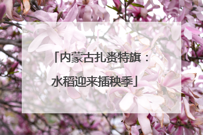 内蒙古扎赉特旗：水稻迎来插秧季