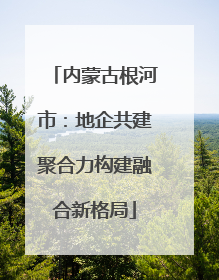 内蒙古根河市：地企共建聚合力构建融合新格局