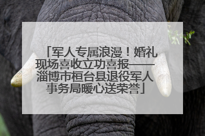 军人专属浪漫！婚礼现场喜收立功喜报——淄博市桓台县退役军人事务局暖心送荣誉