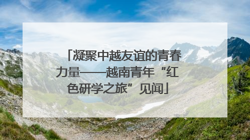 凝聚中越友谊的青春力量——越南青年“红色研学之旅”见闻
