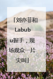刘亦菲和Labubu握手，现场观众一片尖叫