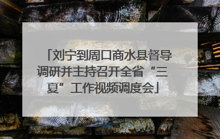 刘宁到周口商水县督导调研并主持召开全省“三夏”工作视频调度会