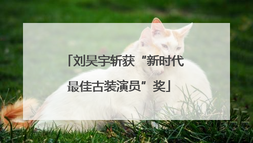 刘昊宇斩获“新时代最佳古装演员”奖