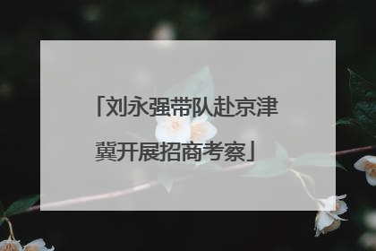 刘永强带队赴京津冀开展招商考察