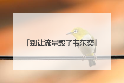 别让流量毁了韦东奕