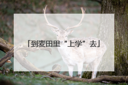 到麦田里“上学”去