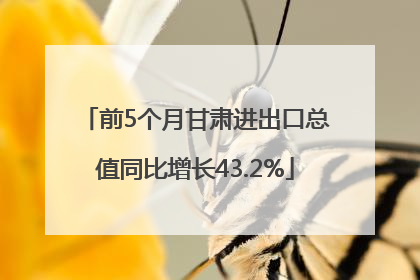 前5个月甘肃进出口总值同比增长43.2%