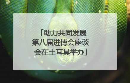 助力共同发展 第八届进博会座谈会在土耳其举办